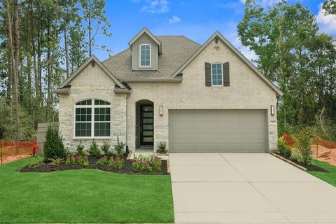 Photo of 15022 Silvano Street, Conroe, TX 77302 (MLS # 34721977)