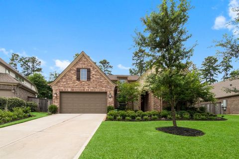 204 Terrain View Court Willis TX 77318