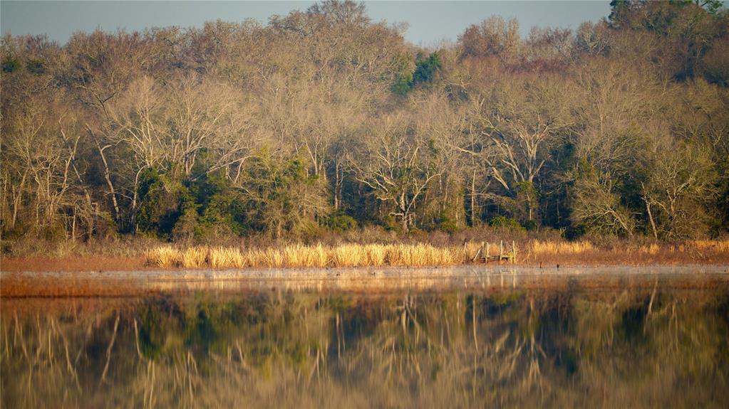 TBD Fm 3, Normangee, Texas image 34