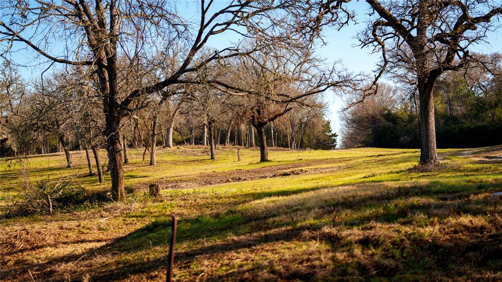 TBD Fm 3, Normangee, Texas image 38