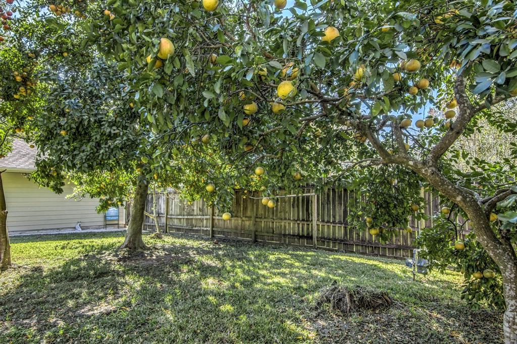 2811 Frostwood Circle, Dickinson, Texas image 37