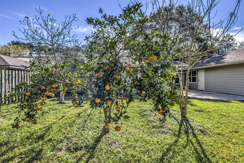 2811 Frostwood Circle, Dickinson, Texas image 36