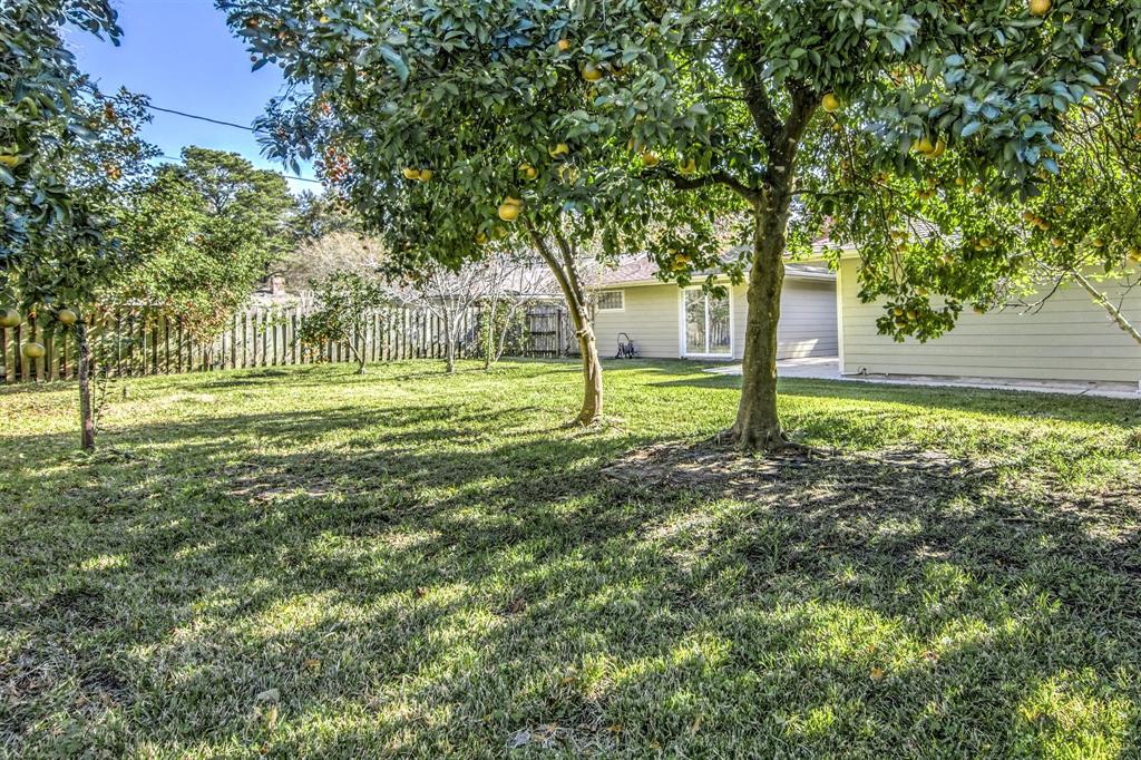 2811 Frostwood Circle, Dickinson, Texas image 34
