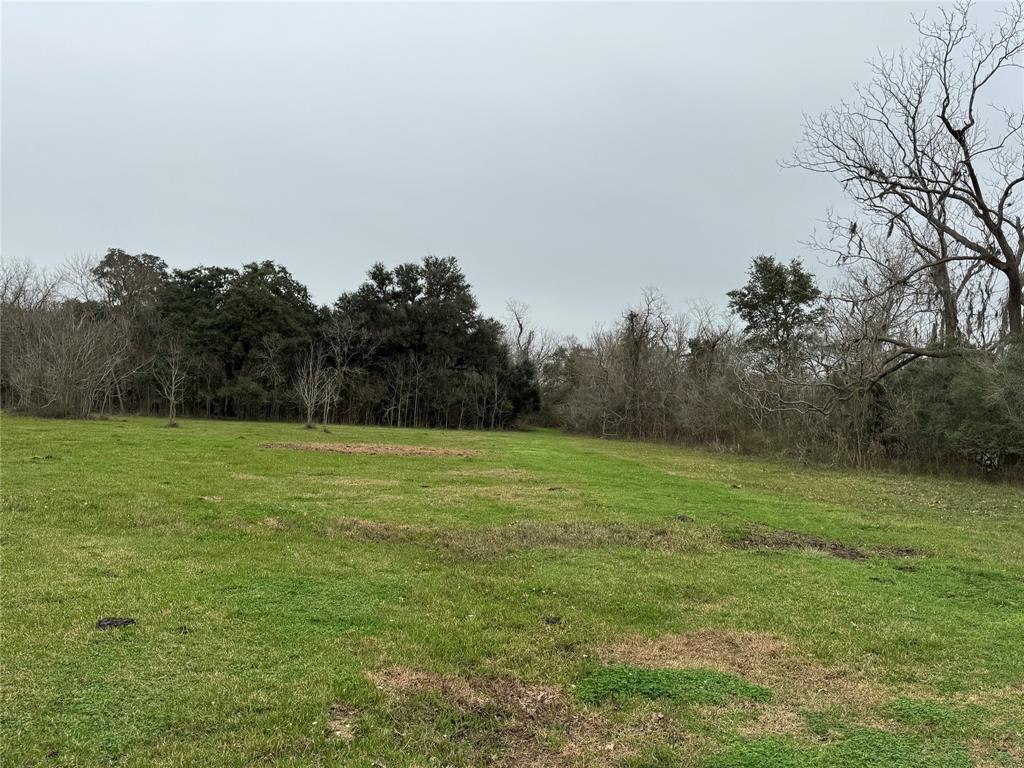 0 Hwy 35 Tx-35, Van Vleck, Texas image 6