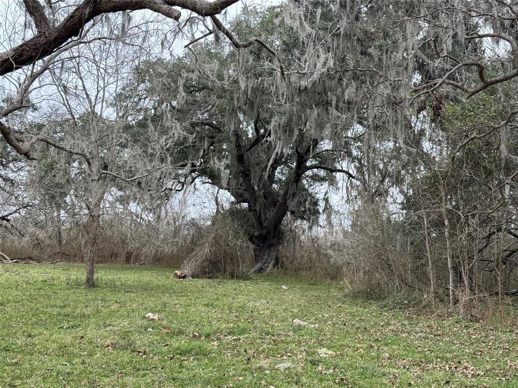 0 Hwy 35 Tx-35, Van Vleck, Texas image 3