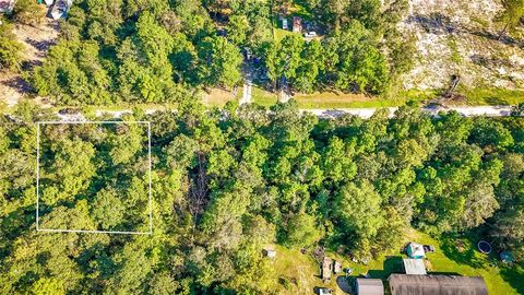Photo of 28 Timbergrove, Livingston, TX 77351 (MLS # 74505741)