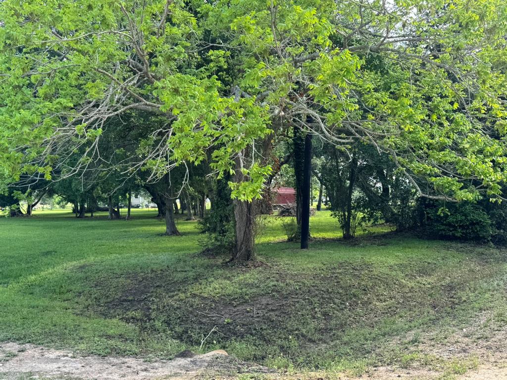 751 Riverside Drive, Palacios, Texas image 11