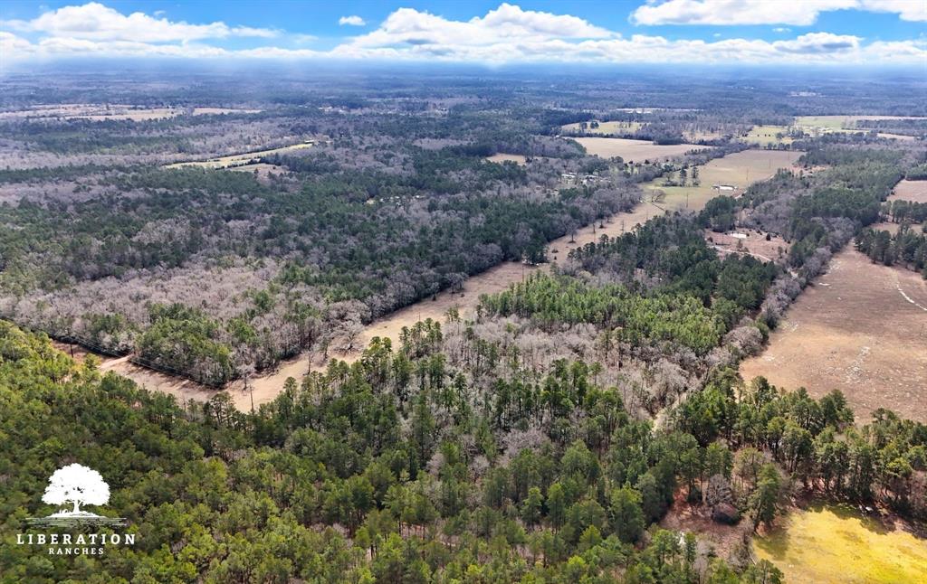 LOT 3 John Warren Road, Coldspring, Texas image 3