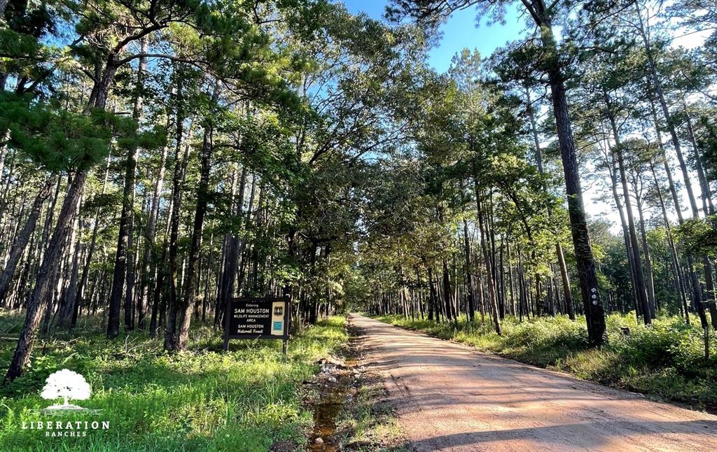 LOT 3 John Warren Road, Coldspring, Texas image 17