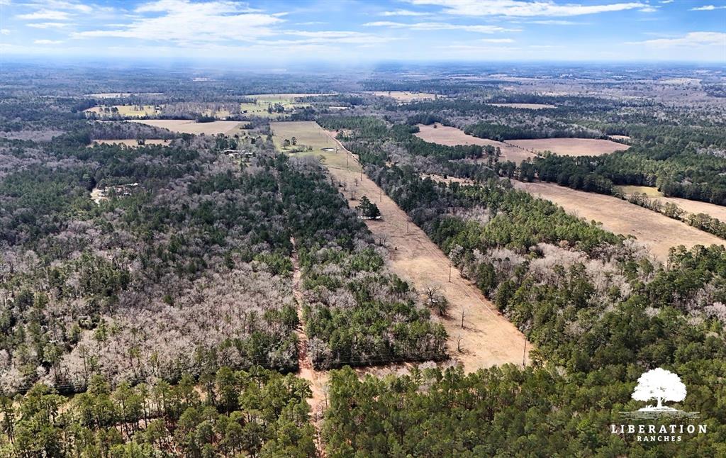 LOT 3 John Warren Road, Coldspring, Texas image 14