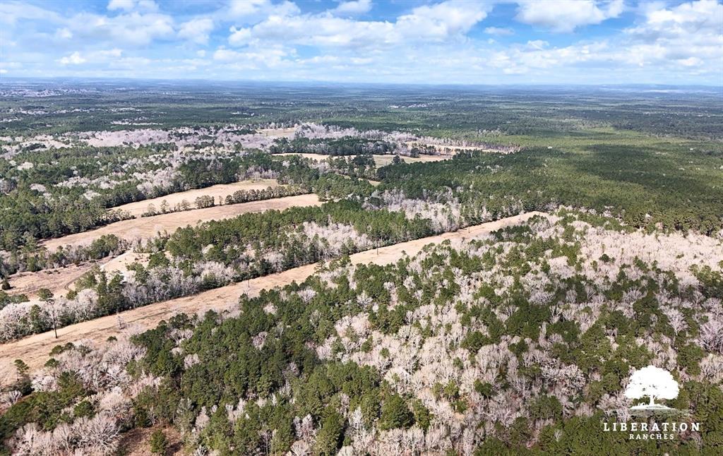 LOT 3 John Warren Road, Coldspring, Texas image 15