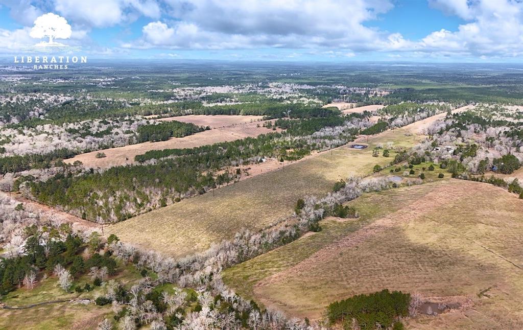 LOT 3 John Warren Road, Coldspring, Texas image 1