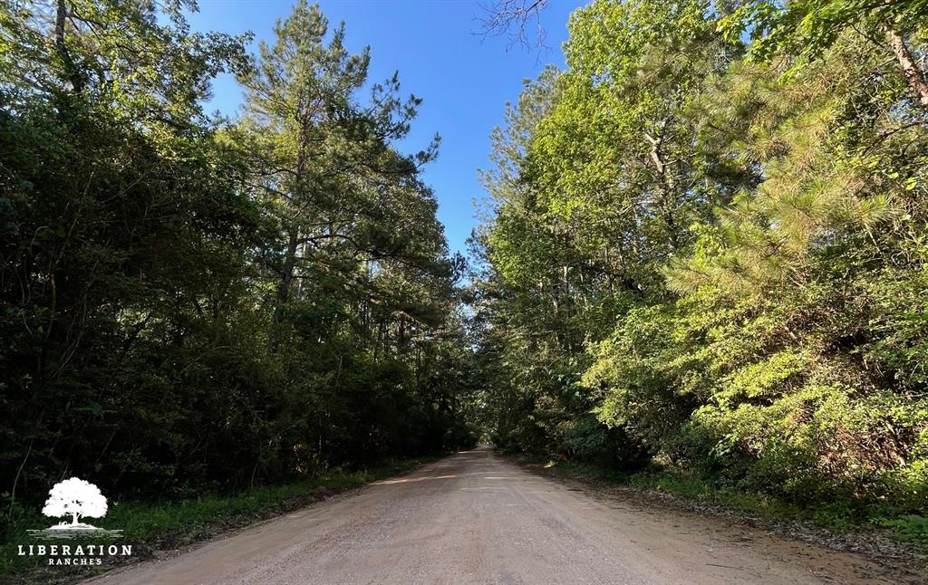 LOT 3 John Warren Road, Coldspring, Texas image 16