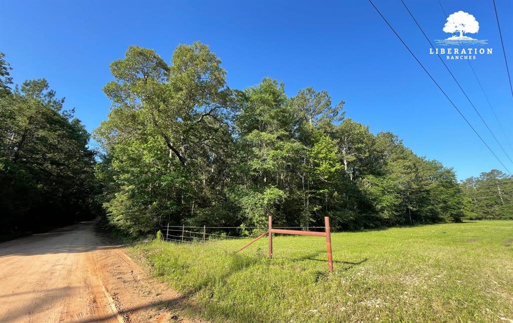 LOT 3 John Warren Road, Coldspring, Texas image 6