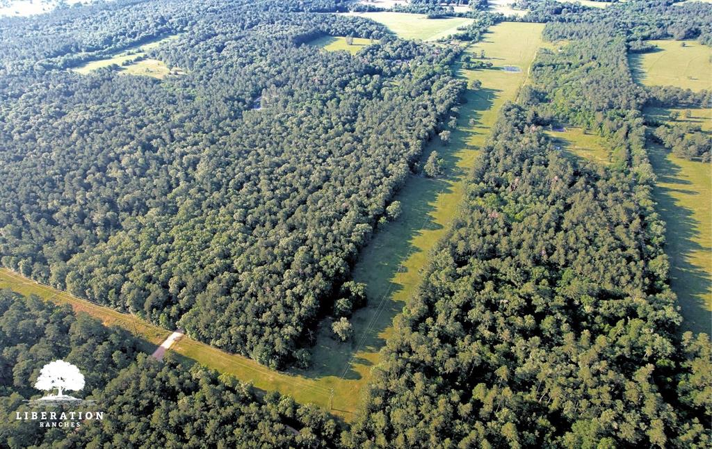 LOT 3 John Warren Road, Coldspring, Texas image 11