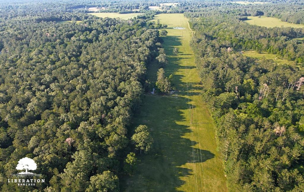 LOT 3 John Warren Road, Coldspring, Texas image 4