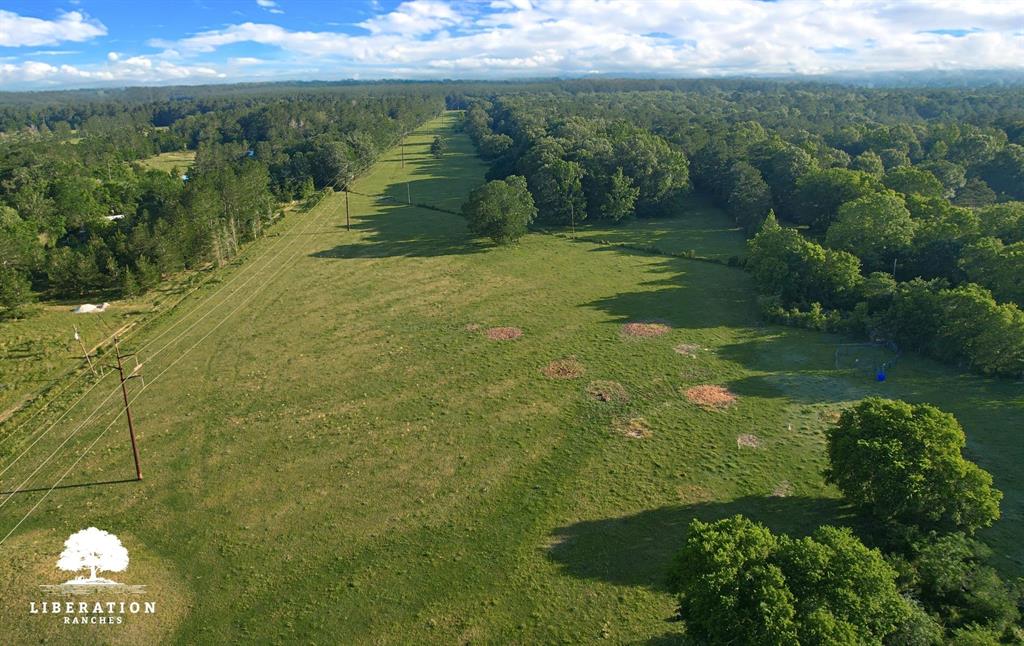 LOT 3 John Warren Road, Coldspring, Texas image 7
