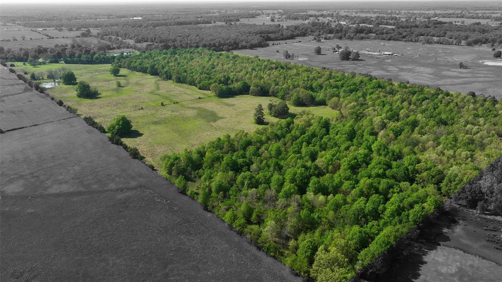 TBD Farm Road 1502, Detroit, Texas image 4