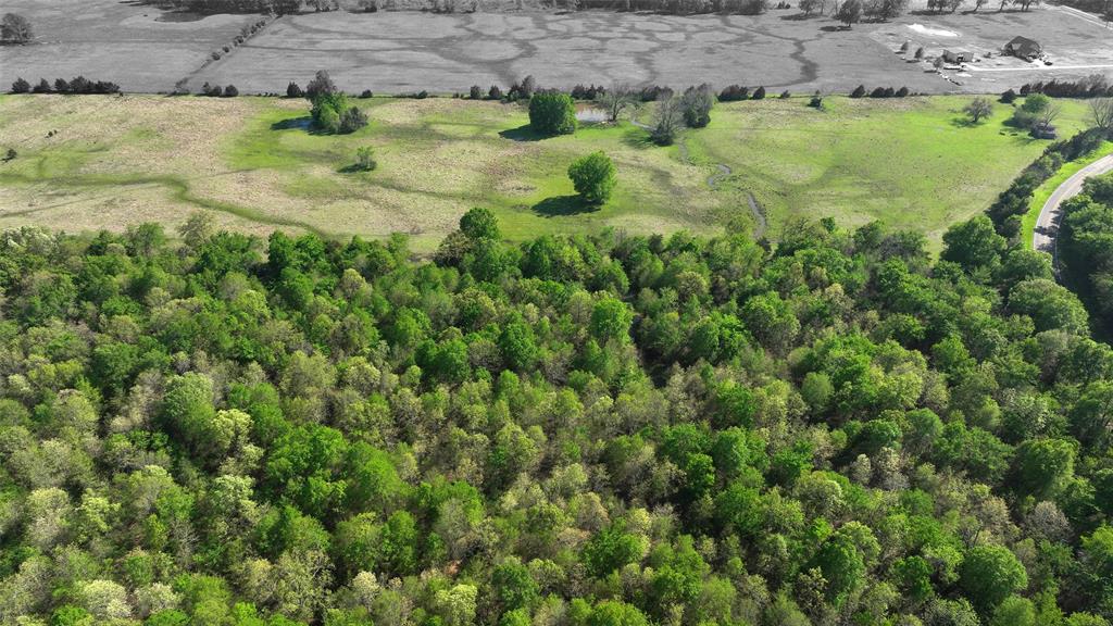 TBD Farm Road 1502, Detroit, Texas image 6