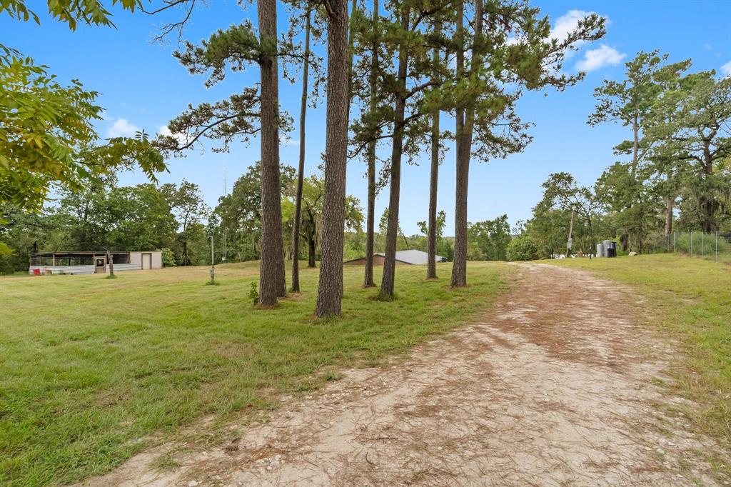 18 Arrowhead Drive, Huntsville, Texas image 7