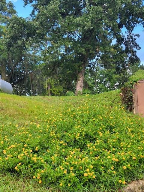 18 Arrowhead Drive, Huntsville, Texas image 14