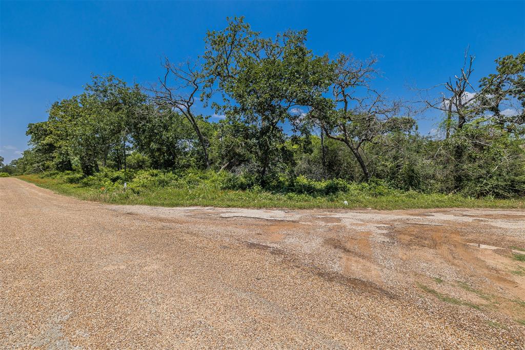 000 Pin Oak Drive, Hempstead, Texas image 4