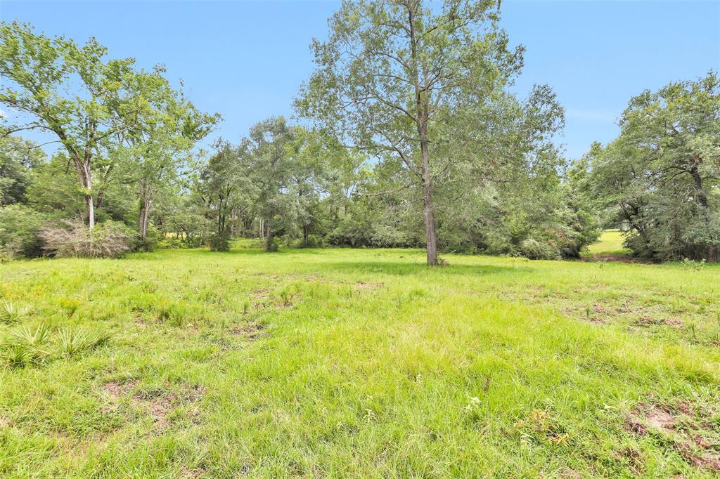 7395 Cr 4200, Pennington, Texas image 14