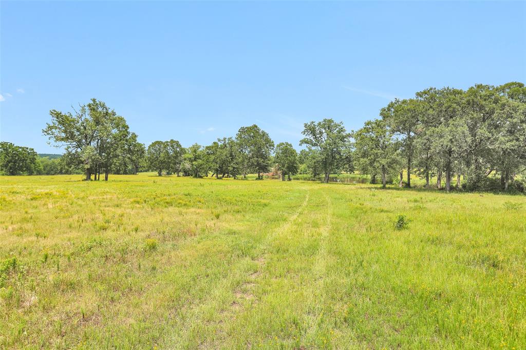 7395 Cr 4200, Pennington, Texas image 26