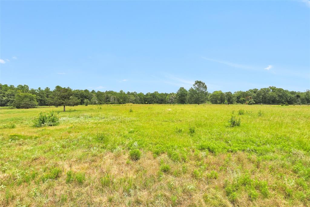 7395 Cr 4200, Pennington, Texas image 18