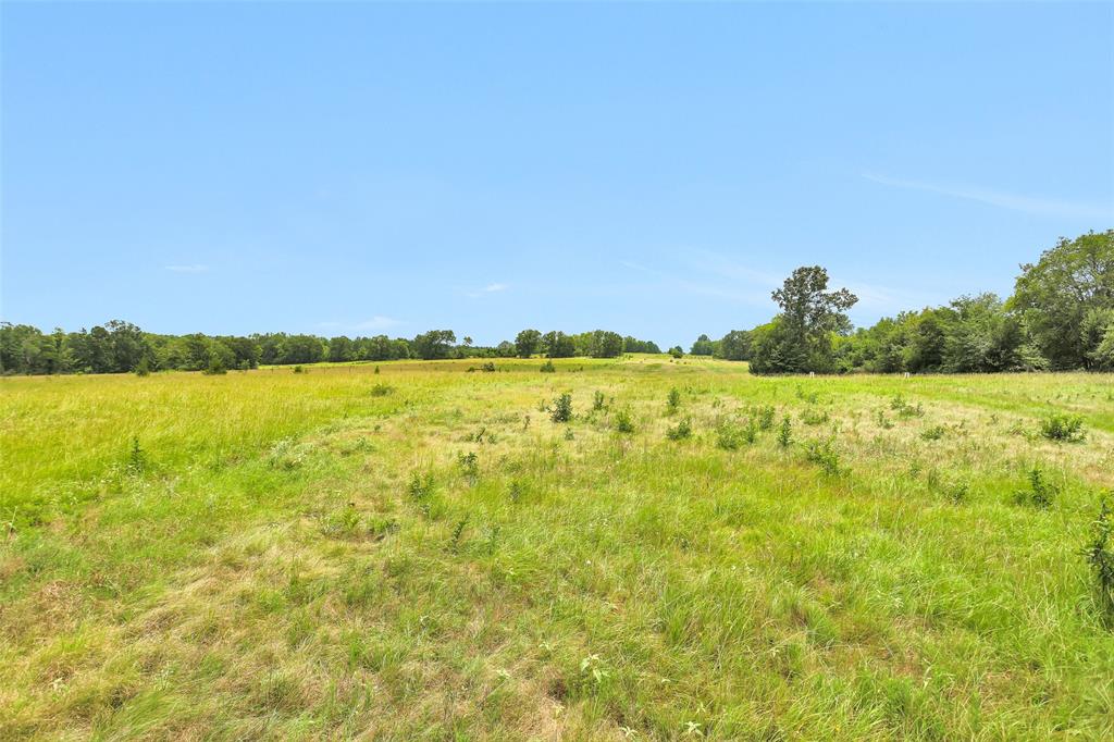 7395 Cr 4200, Pennington, Texas image 19