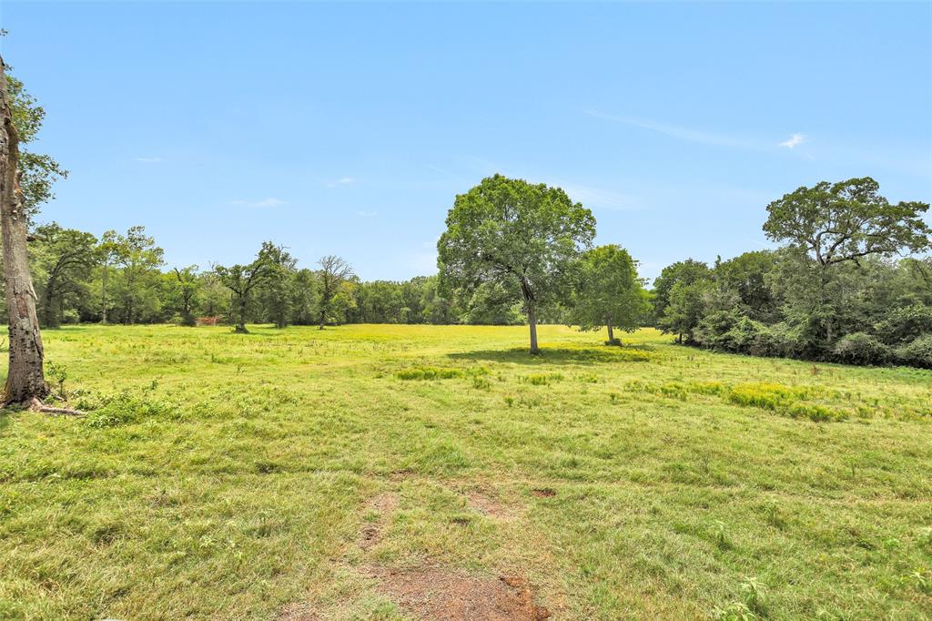 7395 Cr 4200, Pennington, Texas image 8