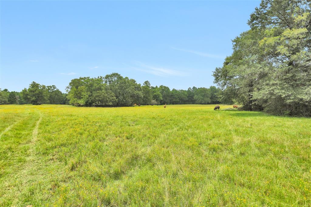 7395 Cr 4200, Pennington, Texas image 9