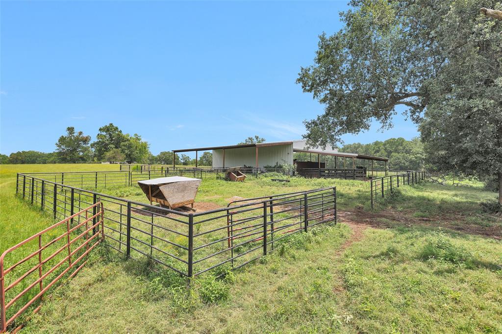 7395 Cr 4200, Pennington, Texas image 6