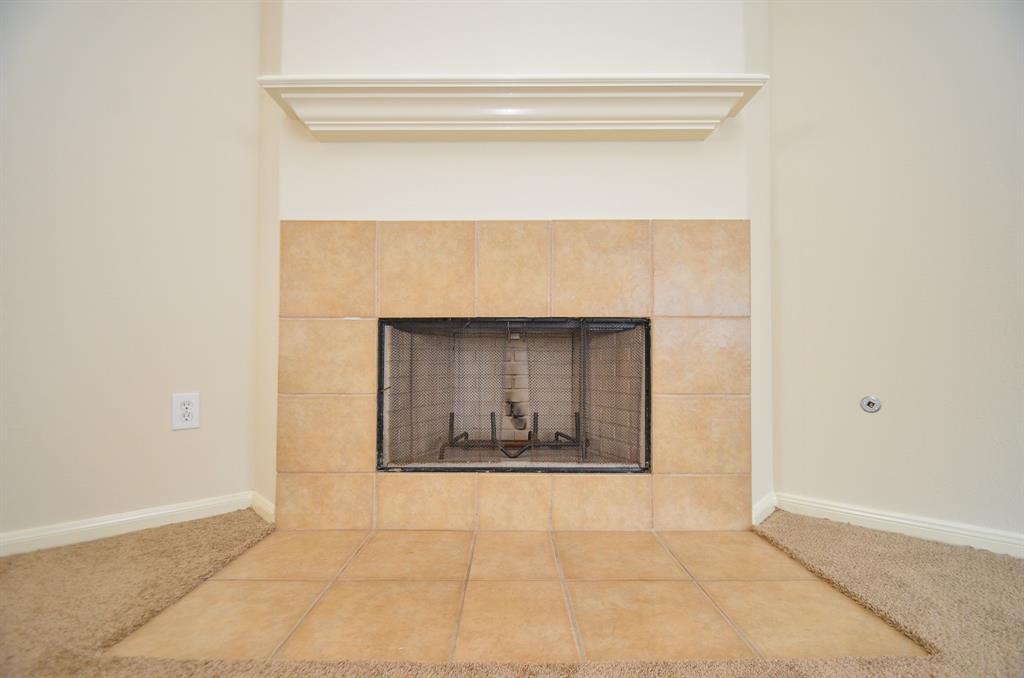 3714 Forney Ridge Lane, Houston, Texas image 6