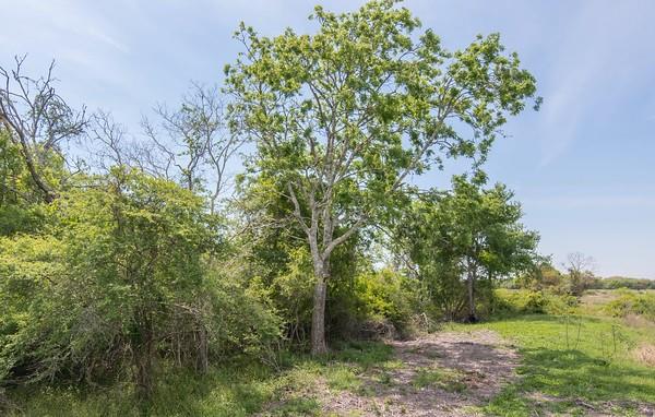 Tract 2 Farm Market 530, Edna, Texas image 7