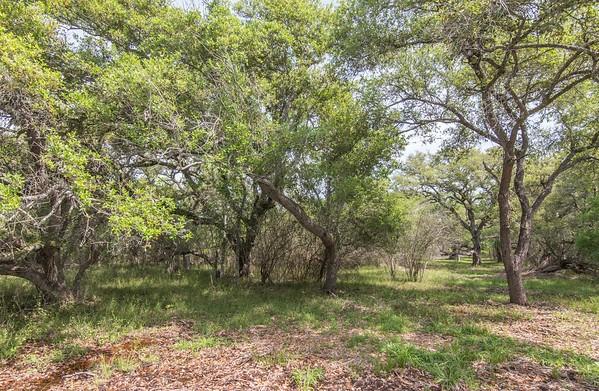 Tract 2 Farm Market 530, Edna, Texas image 6