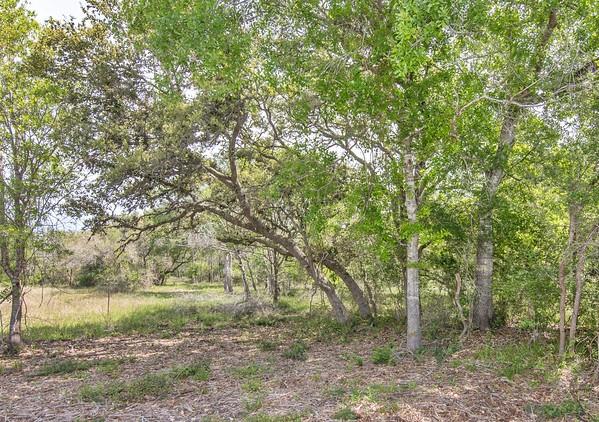 Tract 2 Farm Market 530, Edna, Texas image 5