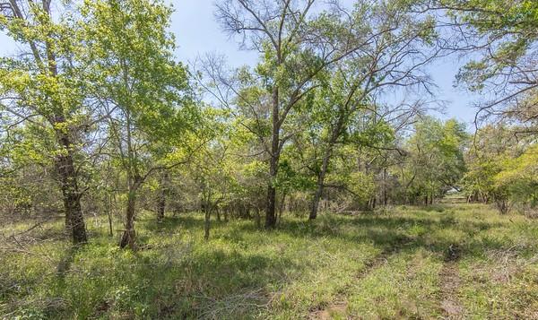 Tract 2 Farm Market 530, Edna, Texas image 4