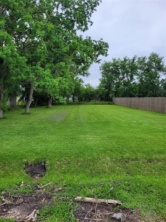 3610 Van Meter Street, Houston, Texas image 8