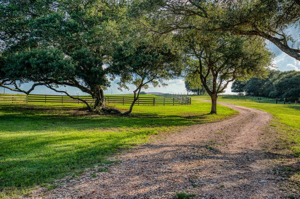 1100 Dittmar Rd