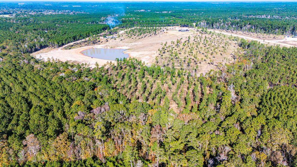 008 Big Buck Drive, Moscow, Texas image 5