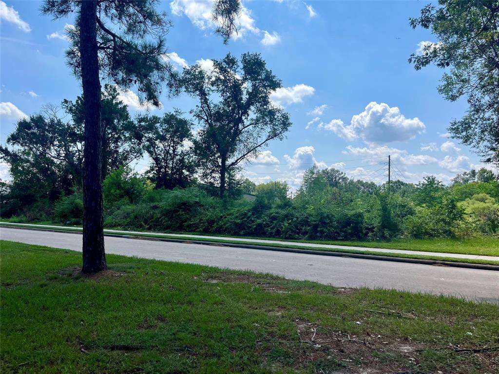 Ella Boulevard, Houston, Texas image 4