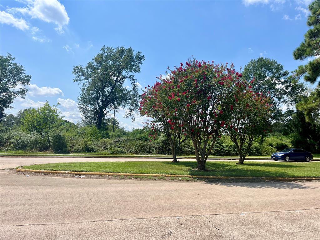 Ella Boulevard, Houston, Texas image 2
