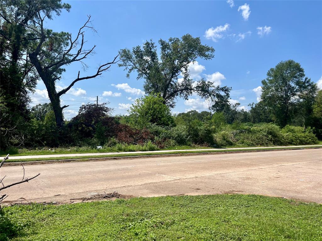 Ella Boulevard, Houston, Texas image 8