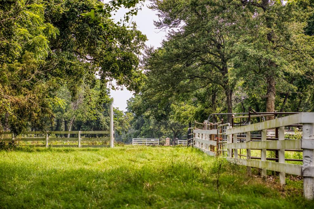 2843 Dinges Lane, Bellville, Texas image 36