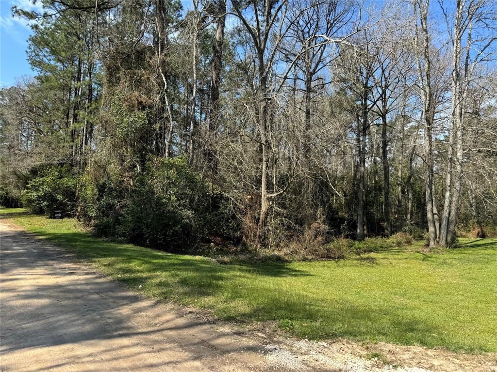 Photo of 9772 Main Road Rd, Porter, TX 77365 (MLS # 53937537)