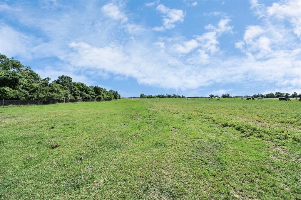 17725 Cochran Road, Hempstead, Texas image 22