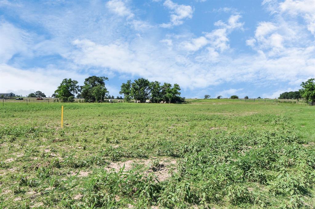 17725 Cochran Road, Hempstead, Texas image 24