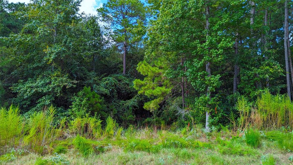 69 Tranquil Lane, Huntsville, Texas image 1