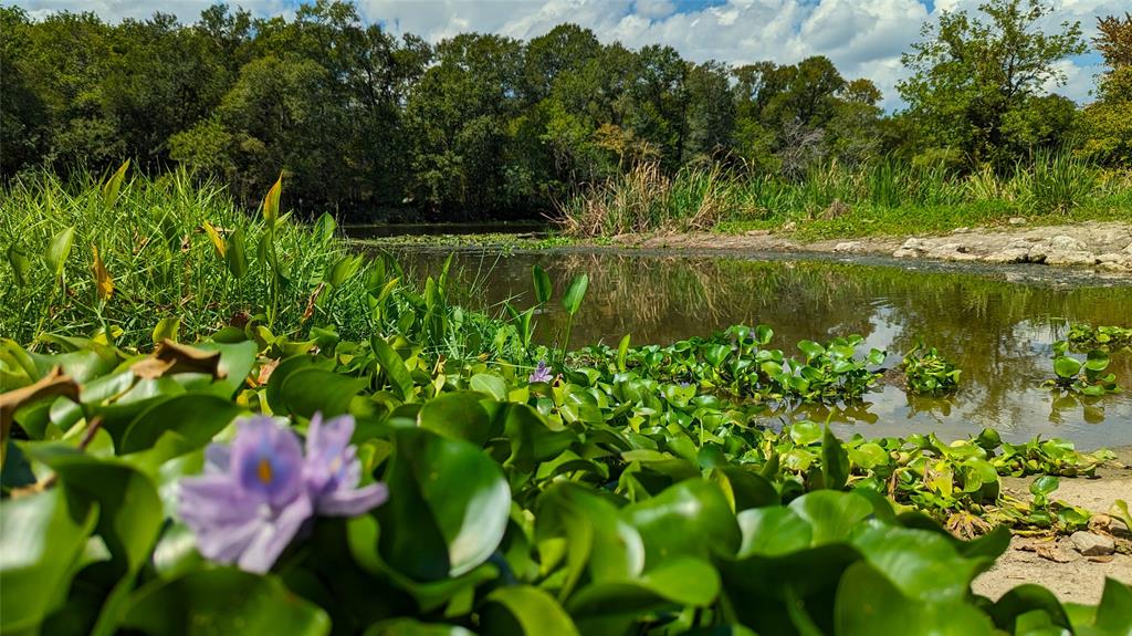 69 Tranquil Lane, Huntsville, Texas image 22